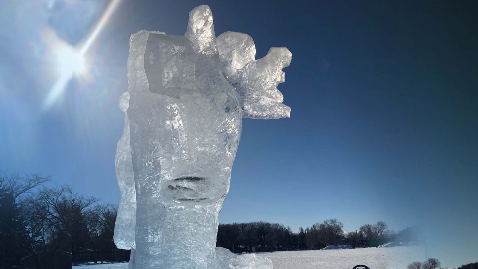 Sir William Osler Ice Sculpture